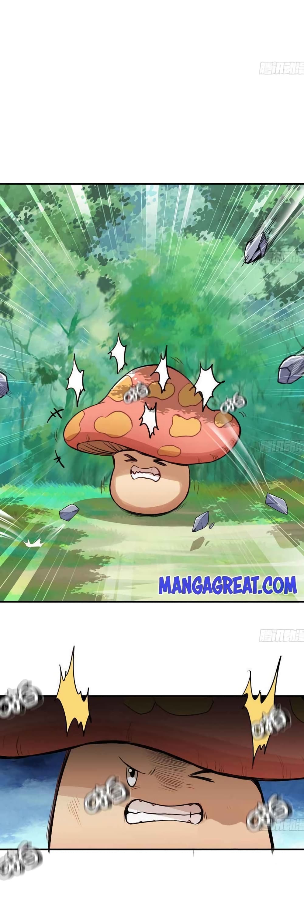 Mushroom Brave 5 (9)