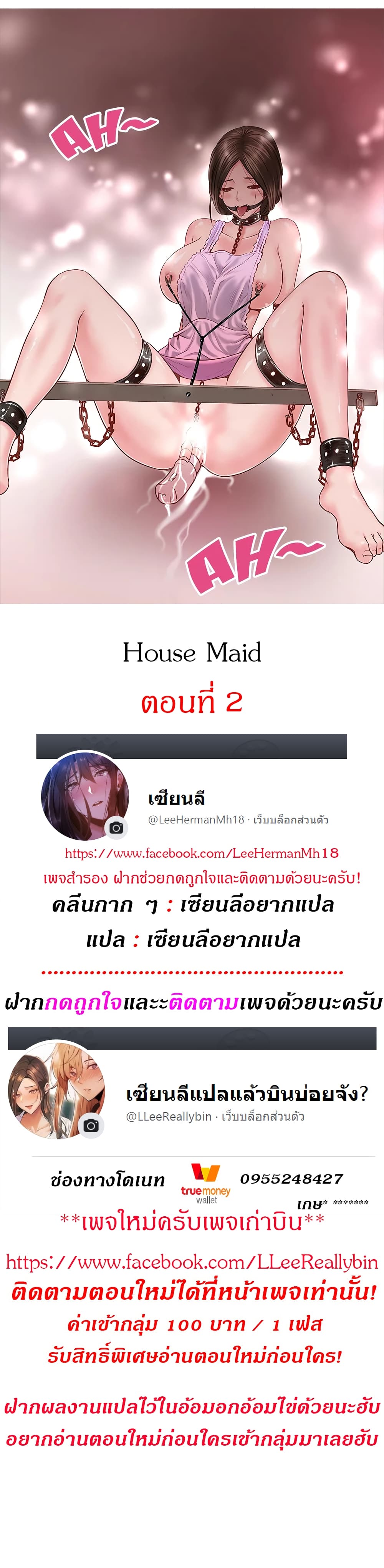 House Maid 2 (2)